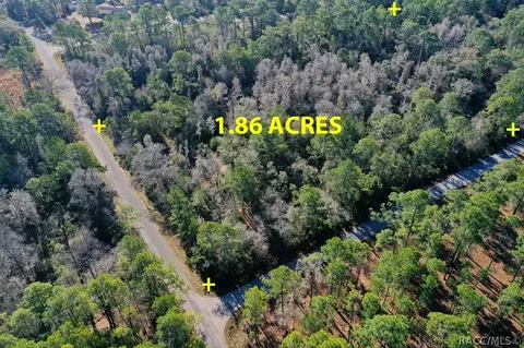 9485 N Beechtree Way, Crystal River, FL 34428 photo 2