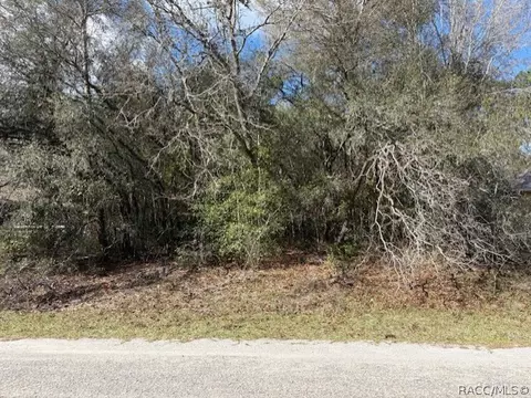 6512 N Foxdale Dr, Dunnellon, FL 34434