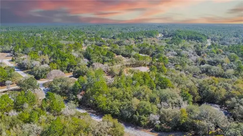 4845 N Goldwood Ter, Beverly Hills, FL 34465