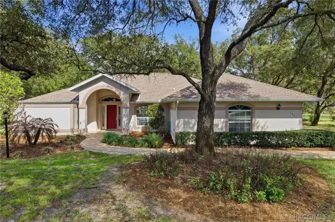 Other - 197 E Joplin Ct, Hernando, FL 34442 photo 14 of 29