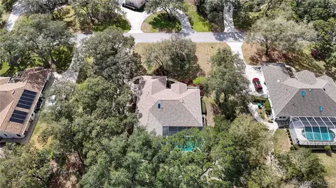 View/Area - 197 E Joplin Ct, Hernando, FL 34442 photo 7 of 21