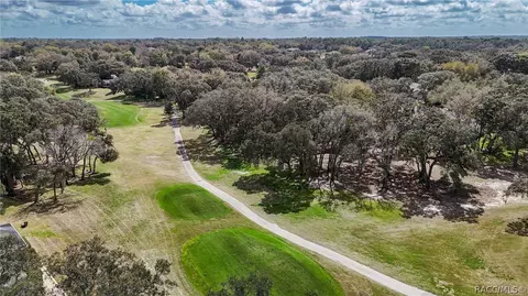 View/Area - 197 E Joplin Ct, Hernando, FL 34442 photo 10 of 21