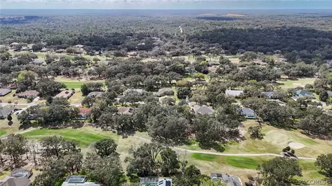 View/Area - 197 E Joplin Ct, Hernando, FL 34442 photo 9 of 21