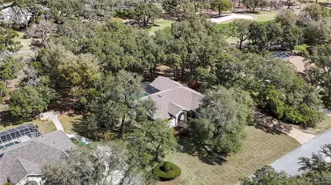 View/Area - 197 E Joplin Ct, Hernando, FL 34442 photo 13 of 21