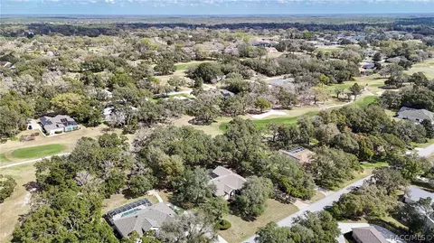 View/Area - 197 E Joplin Ct, Hernando, FL 34442 photo 14 of 21