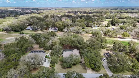 View/Area - 197 E Joplin Ct, Hernando, FL 34442 photo 3 of 21