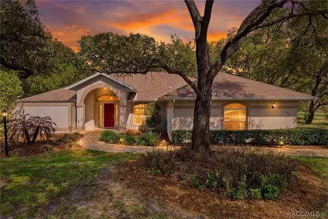 Exterior - 197 E Joplin Ct, Hernando, FL 34442 photo 2 of 21