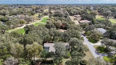View/Area - 197 E Joplin Ct, Hernando, FL 34442 photo 12 of 21