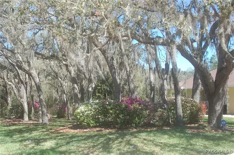 Exterior - 4161 N Longvalley Rd, Hernando, FL 34442 photo 17 of 22