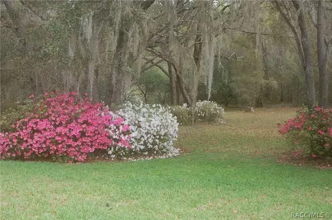Exterior - 4161 N Longvalley Rd, Hernando, FL 34442 photo 14 of 22