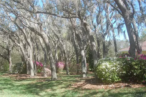 Exterior - 4161 N Longvalley Rd, Hernando, FL 34442 photo 18 of 22