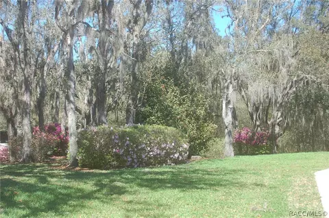 Exterior - 4161 N Longvalley Rd, Hernando, FL 34442 photo 16 of 22