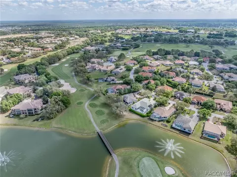 View/Area - 1905 N Eagle Chase Dr, Hernando, FL 34442 photo 9 of 13