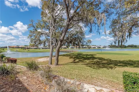 View/Area - 1905 N Eagle Chase Dr, Hernando, FL 34442 photo 2 of 13