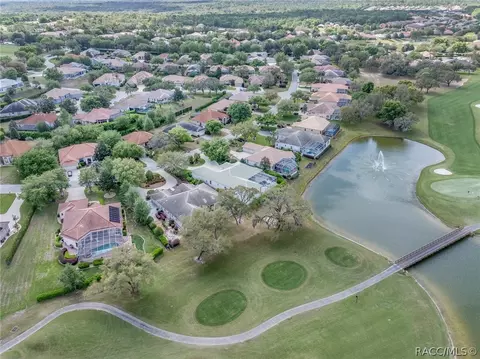 View/Area - 1905 N Eagle Chase Dr, Hernando, FL 34442 photo 11 of 13