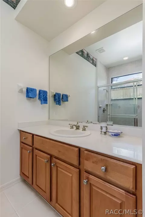 Bath - 1905 N Eagle Chase Dr, Hernando, FL 34442 photo 3 of 4