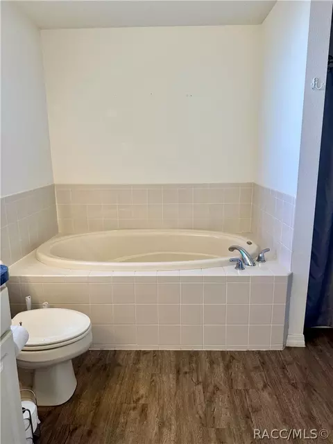 Bath - 4588 E Van Ness Rd, Hernando, FL 34442 photo 3 of 6