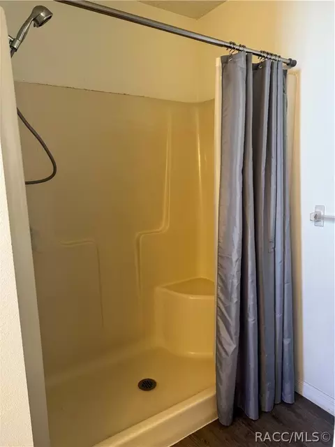 Bath - 4588 E Van Ness Rd, Hernando, FL 34442 photo 5 of 6