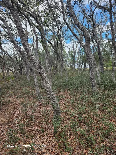 5686 Butan Pt, Homosassa, FL 34446