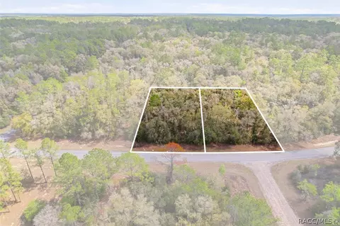 8969 N Alameda Dr, Dunnellon, FL 34434
