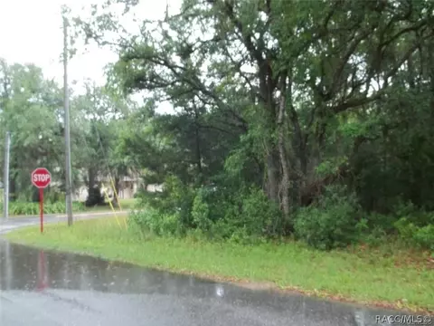 11 S Fitzpatrick Ave, Inverness, FL 34453