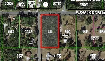 6775 S Sorrell Ave, Homosassa, FL 34446