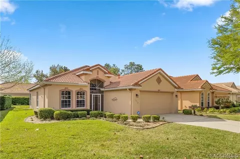 Exterior - 1312 W Skyview Crossing Dr, Hernando, FL 34442 photo 8 of 9