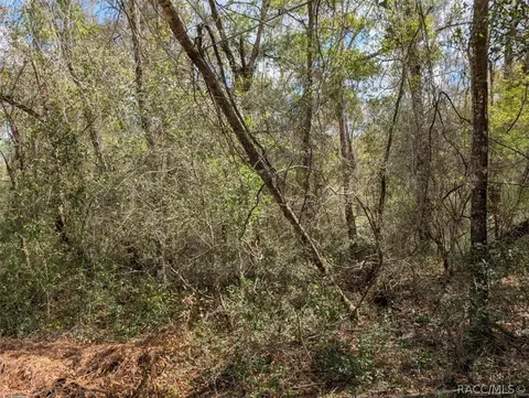 9933 N Joel Pt, Dunnellon, FL 34434