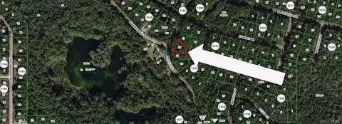 8295 N Lily Dr, Citrus Springs, FL 34434