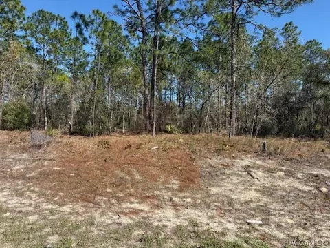 8865 N Lansen Way, Citrus Springs, FL 34433
