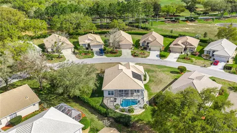 View/Area - 847 W Silver Meadow Loop, Hernando, FL 34442 photo 7 of 19