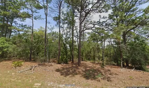 11351 N Kenney Loop, Dunnellon, FL 34433