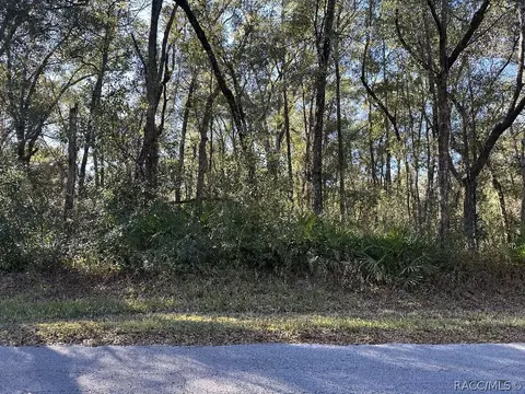 462 N Dugan Ave, Inverness, FL 34453