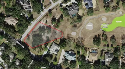 3541 N Pine Valley Loop, Lecanto, FL 34461 photo 3