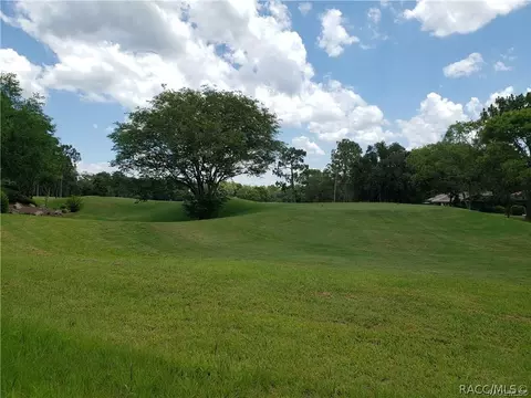 3541 N Pine Valley Loop, Lecanto, FL 34461 photo 2