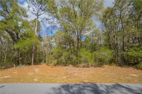 8743 N Sandree Dr, Citrus Springs, FL 34434