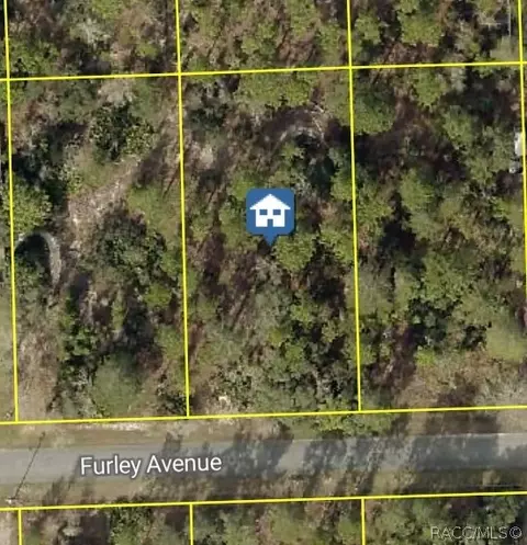 11323 Furley Ave, Brooksville, FL 34613