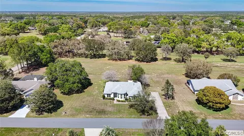 View/Area - 489 E Falconry Ct, Hernando, FL 34442 photo 2 of 19