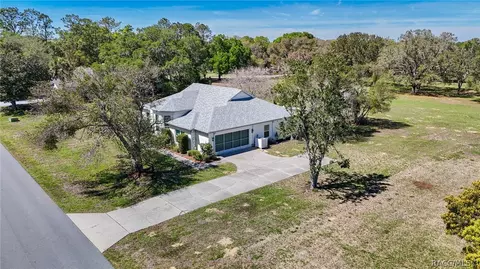 View/Area - 489 E Falconry Ct, Hernando, FL 34442 photo 5 of 19