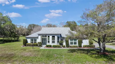 Exterior - 489 E Falconry Ct, Hernando, FL 34442 photo 10 of 11
