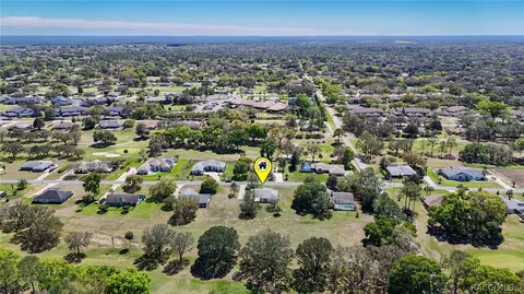View/Area - 489 E Falconry Ct, Hernando, FL 34442 photo 10 of 19