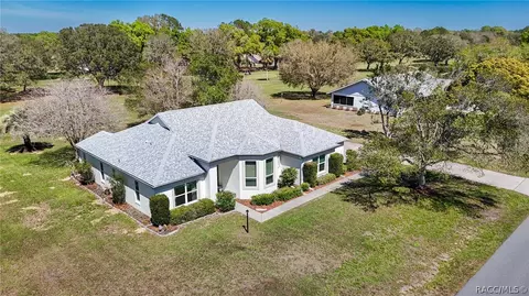 View/Area - 489 E Falconry Ct, Hernando, FL 34442 photo 13 of 19