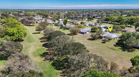 View/Area - 489 E Falconry Ct, Hernando, FL 34442 photo 11 of 19