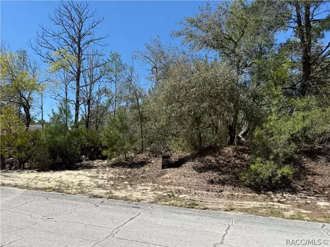 10762 N Moreno Dr, Dunnellon, FL 34433