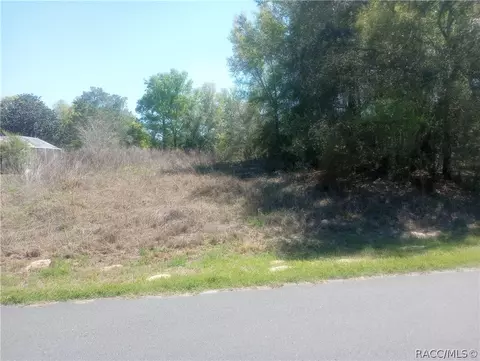 917 Bennington, Inverness, FL 34453