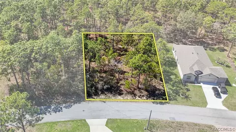 12 Whitewood Ct, Homosassa, FL 34446