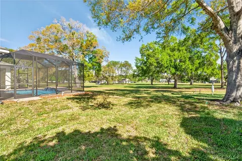 207 E Dakota Ct, Hernando, FL 34442 photo 37