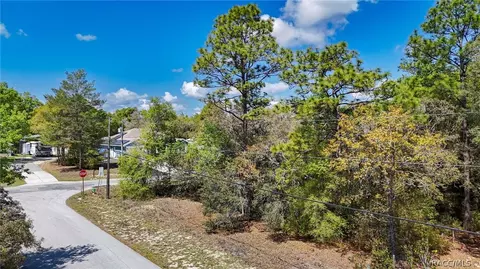 1015 E Cleveland St, Hernando, FL 34442 photo 9