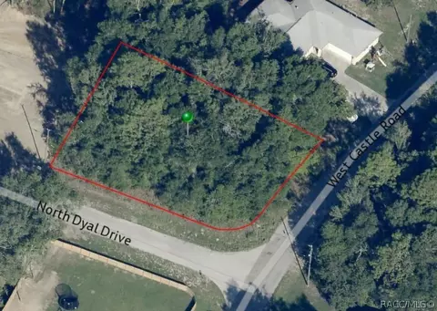 10222 N Dyal Dr, Citrus Springs, FL 34434