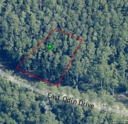 1345 E Odin Dr, Dunnellon, FL 34434